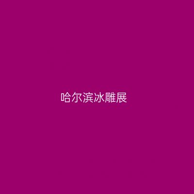 哈尔滨冰雕展