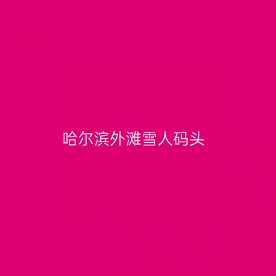 哈尔滨外滩雪人码头