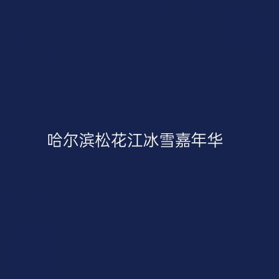 哈尔滨松花江冰雪嘉年华