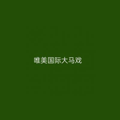 唯美国际大马戏