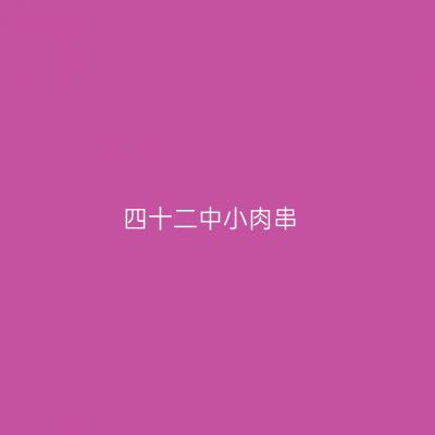 四十二中小肉串