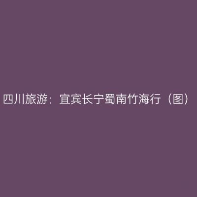 四川旅游：宜宾长宁蜀南竹海行（图）