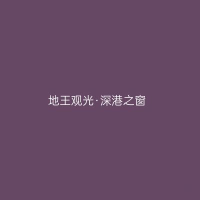 地王观光·深港之窗