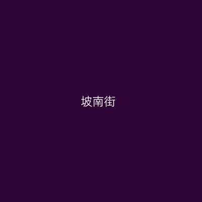 坡南街