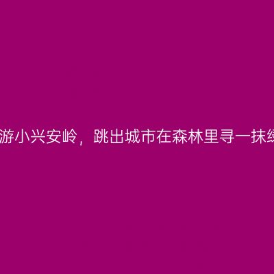 夏游小兴安岭，跳出城市在森林里寻一抹绿