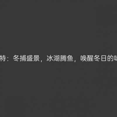大庆杜尔伯特：冬捕盛景，冰湖腾鱼，唤醒冬日的味蕾与乡愁