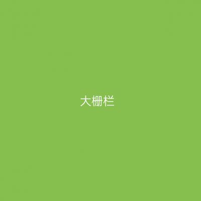 大栅栏