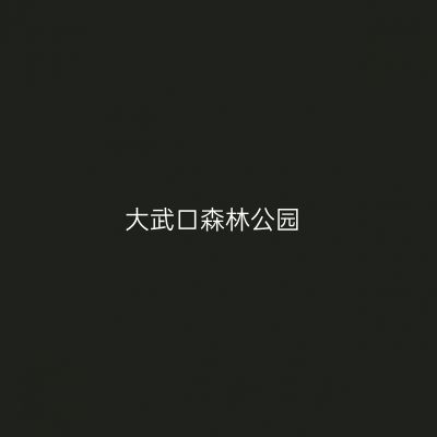 大武口森林公园