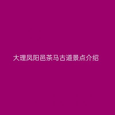 大理凤阳邑茶马古道景点介绍
