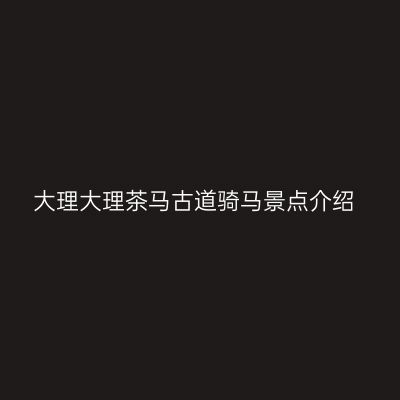 大理大理茶马古道骑马景点介绍