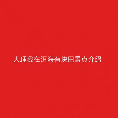 大理我在洱海有块田景点介绍