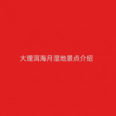 大理洱海月湿地景点介绍