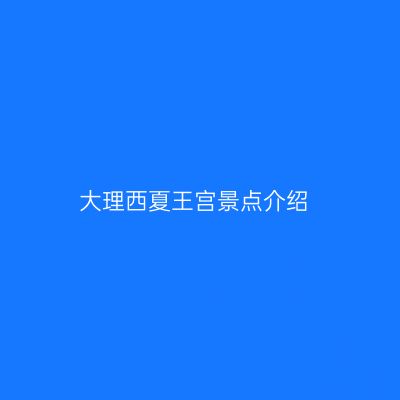 大理西夏王宫景点介绍