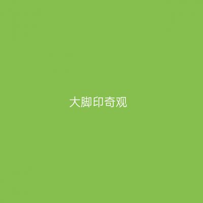 大脚印奇观