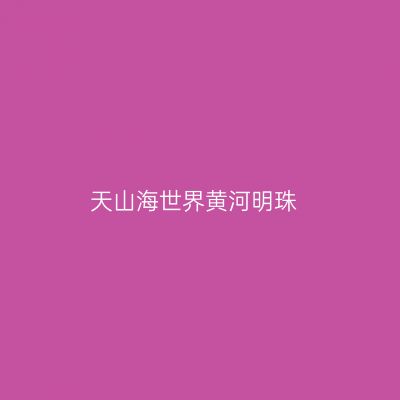 天山海世界黄河明珠