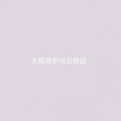 天鹅湖伊河动物园