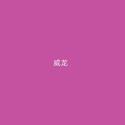 威龙