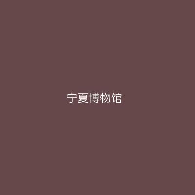 宁夏博物馆