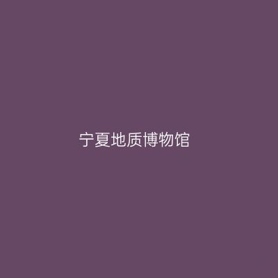 宁夏地质博物馆