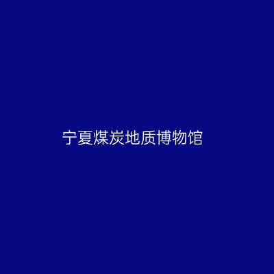 宁夏煤炭地质博物馆