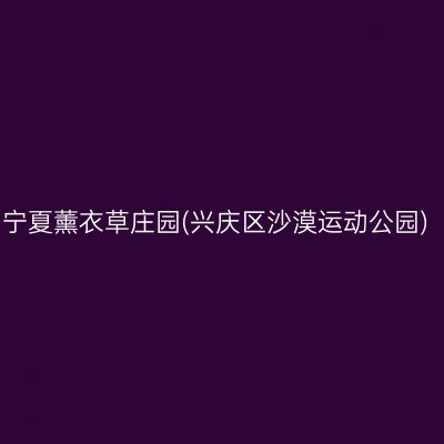 宁夏薰衣草庄园(兴庆区沙漠运动公园)