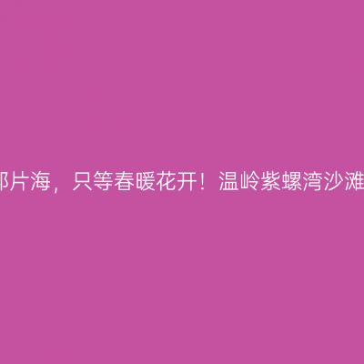 守着那片海，只等春暖花开！温岭紫螺湾沙滩民宿
