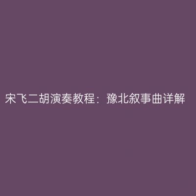宋飞二胡演奏教程：豫北叙事曲详解