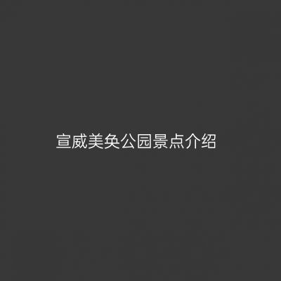 宣威美奂公园景点介绍