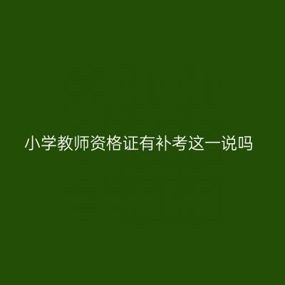 小学教师资格证有补考这一说吗