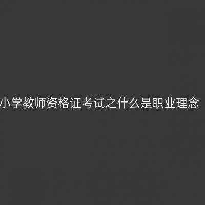 小学教师资格证考试之什么是职业理念