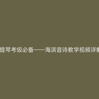 小提琴考级必备——海滨音诗教学视频详解