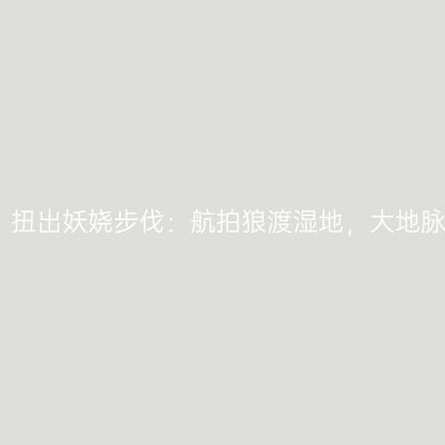 小河跳秧歌，扭出妖娆步伐：航拍狼渡湿地，大地脉络一目了然