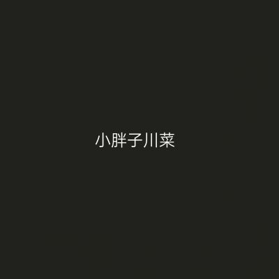 小胖子川菜