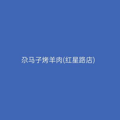 尕马子烤羊肉(红星路店)