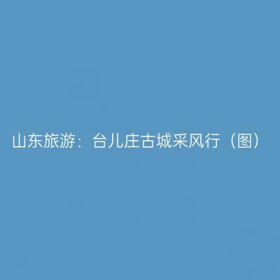山东旅游：台儿庄古城采风行（图）