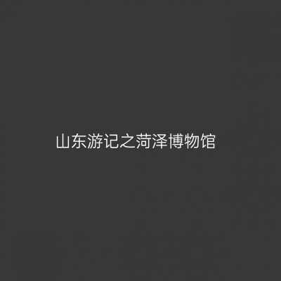 山东游记之菏泽博物馆