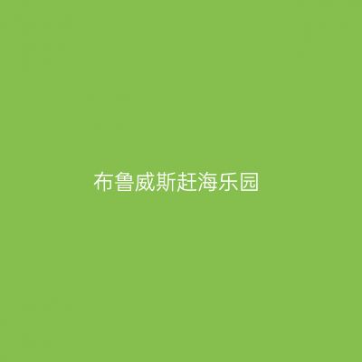 布鲁威斯赶海乐园