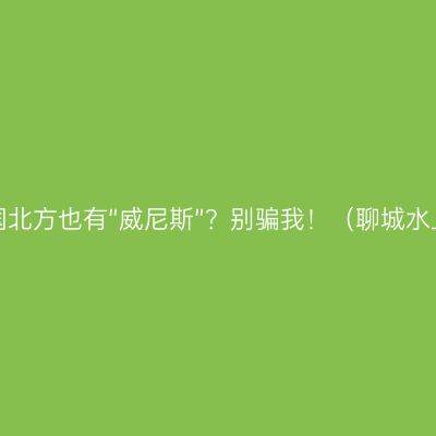 干旱的中国北方也有“威尼斯”？别骗我！（聊城水上古城游）