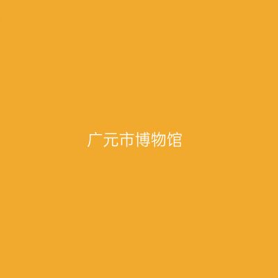广元市博物馆