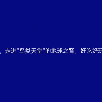 广州南沙，走进“鸟类天堂”的地球之肾，好吃好玩好休闲！