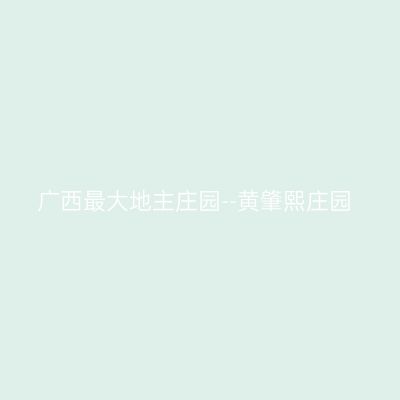 广西最大地主庄园--黄肇熙庄园