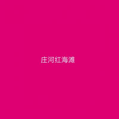 庄河红海滩