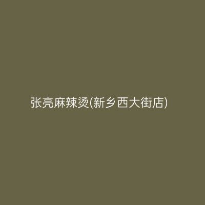 张亮麻辣烫(新乡西大街店)