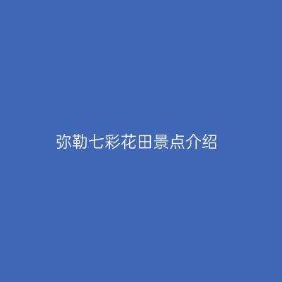 弥勒七彩花田景点介绍