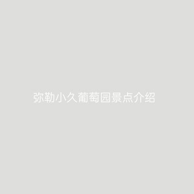 弥勒小久葡萄园景点介绍