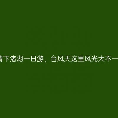 德清下渚湖一日游，台风天这里风光大不一样