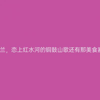 情迷东兰，恋上红水河的铜鼓山歌还有那美食嘉年华