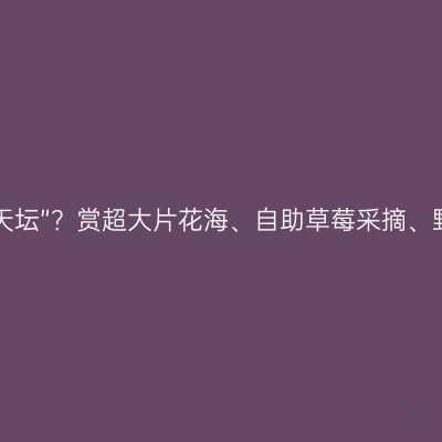 成都自驾2h有个四川“小天坛”？赏超大片花海、自助草莓采摘、野炊，全家出游就选这里