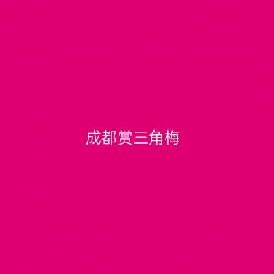 成都赏三角梅