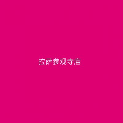 拉萨参观寺庙